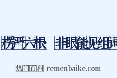 楞严六根·非眼能见组词是什么意思的图片